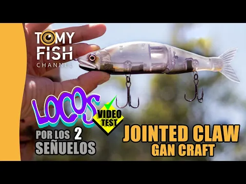 Gan Craft-JOINTED CLAW 178 -test.👨🏻‍🔬. SWIMBAIT〰️para lucio y bass.