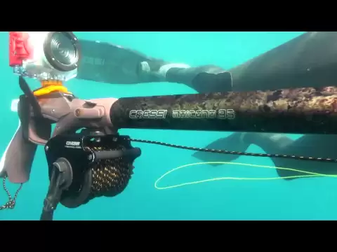 Xavi Blanco Campeón del mundo Prueba del fusil de pesca submarina Moicano de Cressi.