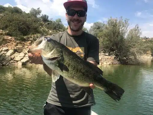 pesca black bass