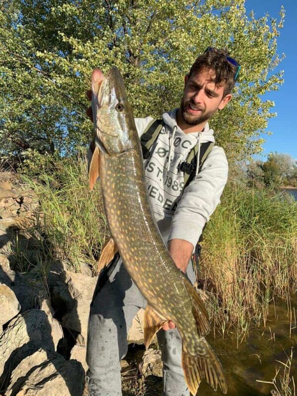 consejos-para-la-pesca-del-lucio-en-ste-2023-tublogdepesca
